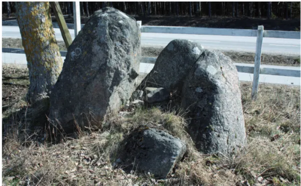 Figur 1. De resta stenarna vid Licksarve gård (RAÄ Tofta 27:1). Foto: Joakim Wehlin 2009.