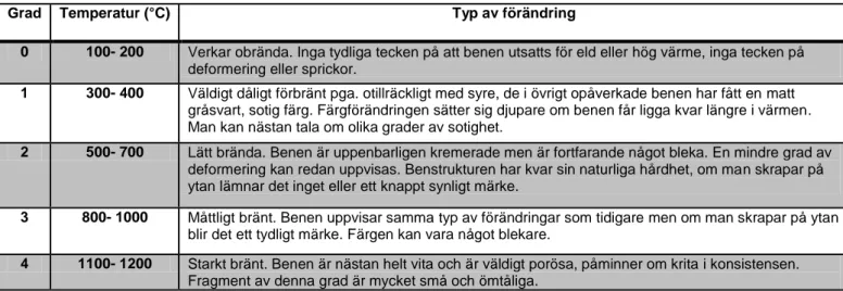 Tabell 3. Förbränningsgraderna och dess inverkan, Holck 1986.   