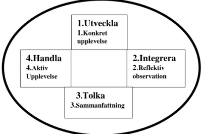 Figur 3: Organisations lärande cykeln. (Dixon.1999) 