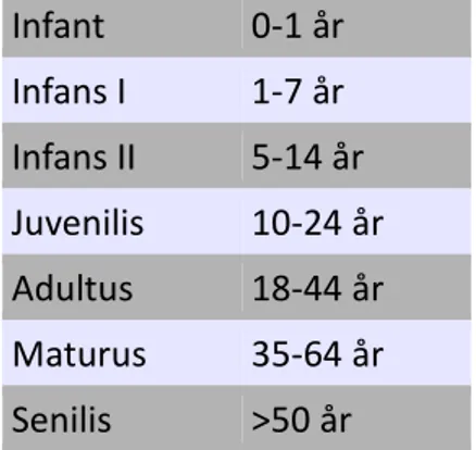 Tabell 1. Åldersindelning efter Sjøvold (1978)  Infant  0-1 år  Infans I  1-7 år  Infans II  5-14 år  Juvenilis  10-24 år  Adultus  18-44 år  Maturus  35-64 år  Senilis  &gt;50 år  Djur 