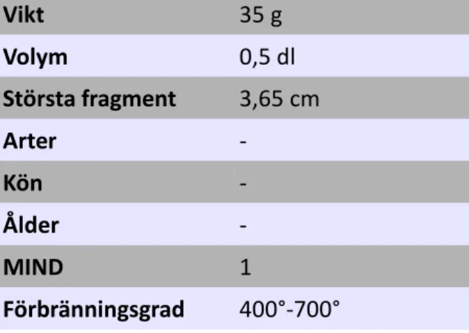 Tabell 10. Sammanfattning av resultatet   från skeppssättning 4  Vikt  35 g  Volym  0,5 dl  Största fragment  3,65 cm  Arter  -  Kön  -  Ålder  -  MIND  1  Förbränningsgrad  400°-700°  Tabell 11