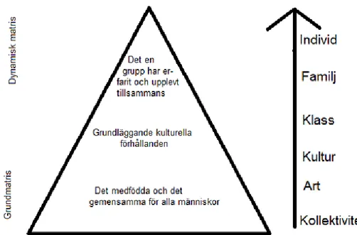 Figur 3:3 Foulkes matris – Annika Jonasson 2011 (Bonnerup &amp; Hasselager 2010)  Ett av de begrepp som oftast förknippas med Foulkes( Bonnerup &amp; Hasselager 2010)  och som fått stor utbredning är hans begrepp matris (eng