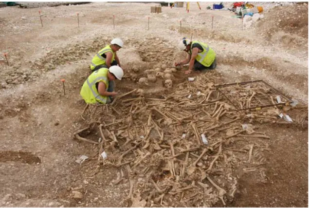 Figure 2 Excavation of burial pit at Ridgeway Hill, near Weymouth. The figure shows the distinct placing of the  skulls relative to the skeletons