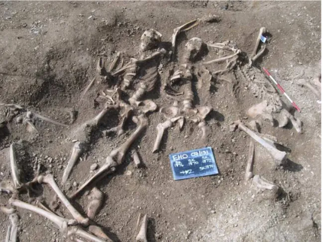 Figure 1 Overview of excavated skeletons. Courtesy of TVAS 2010. 