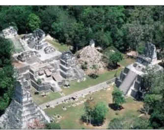 Figur 10 Tikals North Acropolis, i förgrunden tempel 1  &amp; 2 