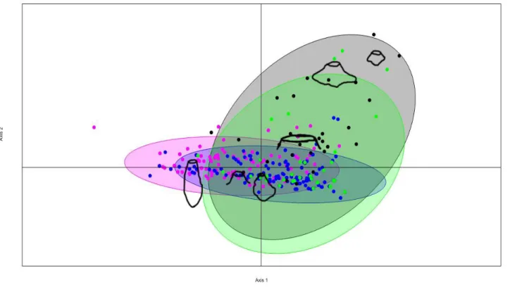 Figur 10. Illustrationen visar resultatet av korrespondens analysen. Grön - Gisslause, Svart -  Köpu VIII, Blå - Umbusi, Lila - Rudemark