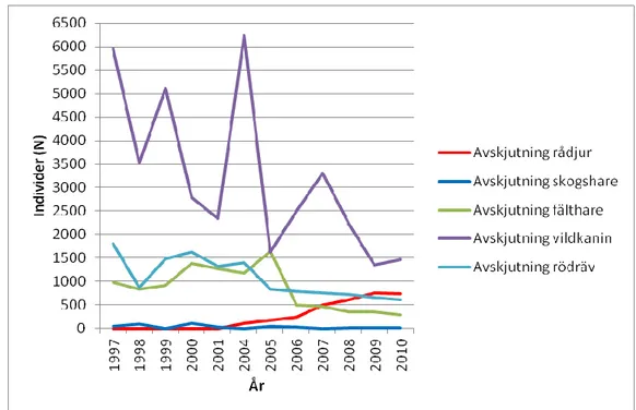 Figur 12. Avskjutningsstatistik på Gotland av rådjur och dess predator, rödräv, under åren 1997  till 2010, utom år 2002 och 2003 (från Svenska Jägareförbundets viltövervakning)