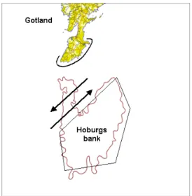 Figur 3. Karta över Hoburgs bank och Gotlands sydspets. Markering vid Gotlands sydspets visar inventerad  kuststräcka