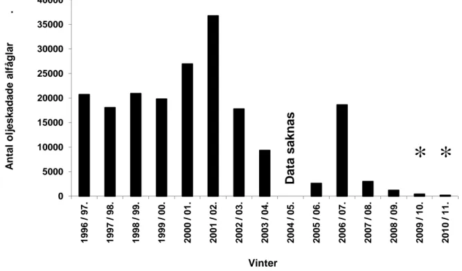 Figur 4. Antalet observerade oljeskadade alfåglar vid Gotlands sydkust under vintrarna 1996/97 till 2010/11
