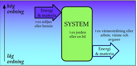 Figur 2.1 Flödet av energi och materia genom ett system