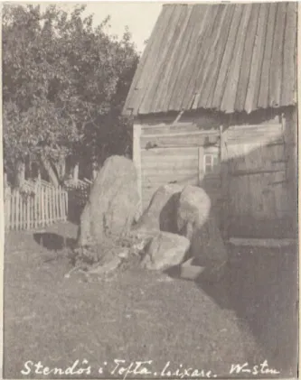 Figur 4. Foto av de uppresta stenarna i Licksarve från tidigt  1900-tal. Foto: Oscar Wennersten