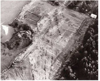 Figure 5. Aerial  photo of the  Uppgarde ship  and the 15  hearths. Peter  Manneke 1977 
