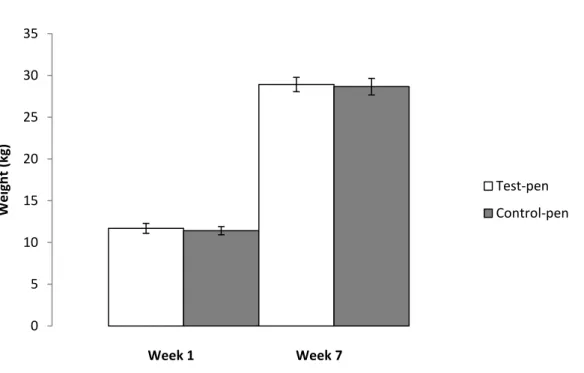 Fig. 4. Average weight (kg) ± SE of pigs in test-pens (n=11) (with toys) and control-pens (n=11) during week 1  and week 7