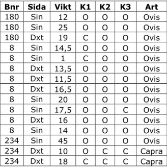 Tabell 6. Bedömning till får eller get   utifråm skenben 