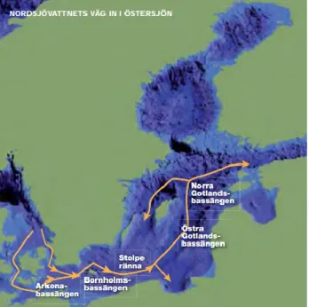 Fig. 8. The passage of the North Sea water into the Baltic Sea (Andersson 2010:20) 