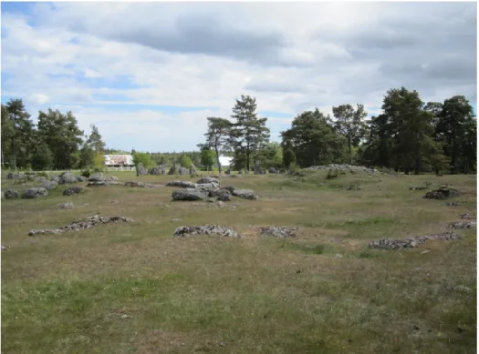 Figure 1. Gålrum burial site. Photo by Anders Gustavsson. 