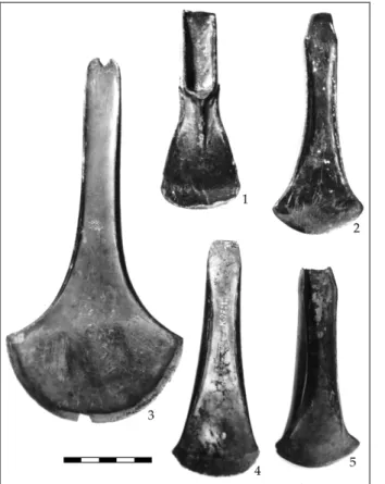 Figure  6.  Bronze  pals- pals-tave  (1)  and  flanged  axes  (2–5).  1  Lelle,  2  Raidsaare,  3  Tahula,  4  Kaarma,  5  Äksi  (AI  4378;  2513:  89;  K10:  1; K98; 2513: 90)