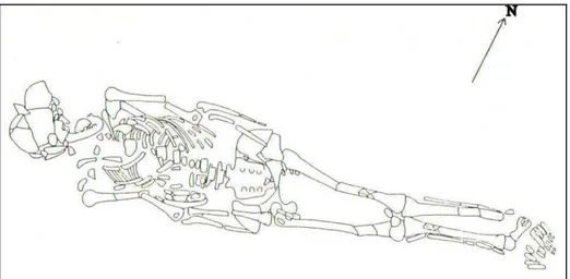 Figure 4. Skeleton of the secondary buried woman dated to the late Bronze Age  (after Bägerfeldt 1992)