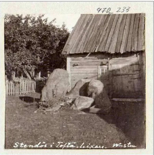 Figure 6. The possible dolmen at Licksarve, Tofta Parish, taken in the early  1900s (Photo O.W