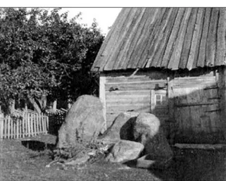 Fig. 10. Picture from the possible megalith at Lick- Lick-sarve (photo Gotland Museum Archives).
