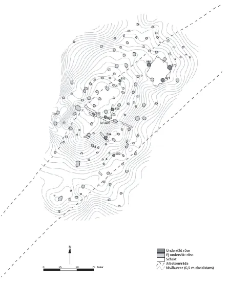 Figur 6 Röjningsröseområde i Hamneda. För detaljplan över den större schaktytan, se  nästa figur (Efter Lagerås 2000, s