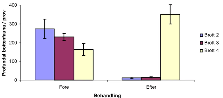 Figur 7. Total genomsnittlig abundans (ind./prov ± s.e.) av profundal bottenfauna i de tre undersökta brotten före  samt efter behandlingstillfället