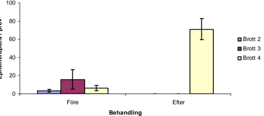 Figur 10. Genomsnittlig abundans (ind./prov ± s.e.) av Ephemeroptera i profundala prover i de tre undersökta  brotten före samt efter behandlingstillfället