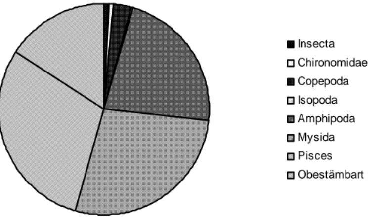 Figur 8. Fördelning av födoslag hos piggvarar ≤40 mm fångade i Bungeviken, Gustavs och Tor vecka 31-37