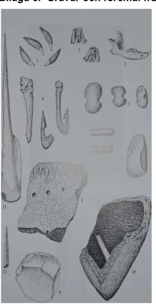 Figur 7. Några av föremålen från grav 2                          Figur 8. Gravfältet i Ajvide       (efter Österholm, S