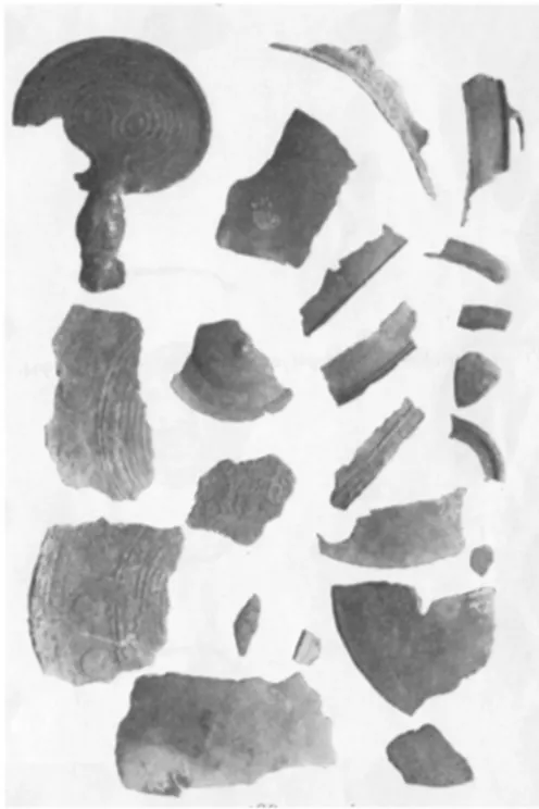 Fig 17: Det fragmenterade depåfyndet från Burs  socken (Hansson 1927 Pl. 52).