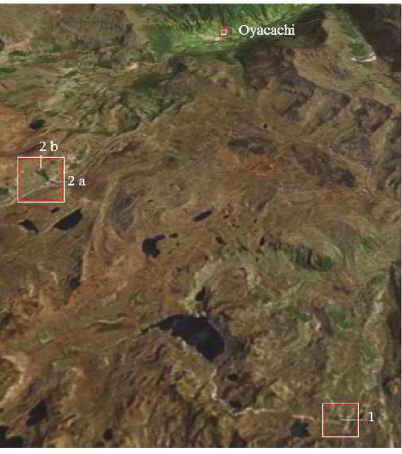 Fig. 3. The study localities in the vicinity of Oyacachi (Google Earth 2007). 