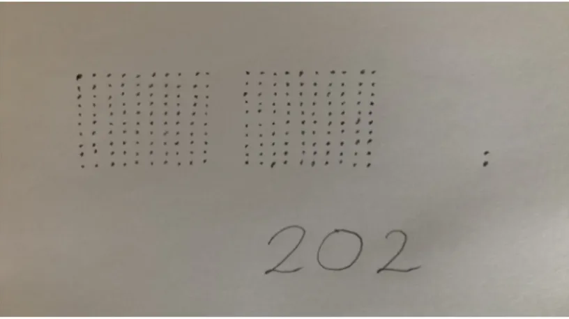 Figur 6. På tavlan fanns 202 prickar grupperade som hundratal respektive ental och den numeriska  representationen 202.