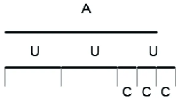 Figur 5. En schematisk bild av A = xU + (mC/nC)U, där x är antalet hela U, m är det antal C som 