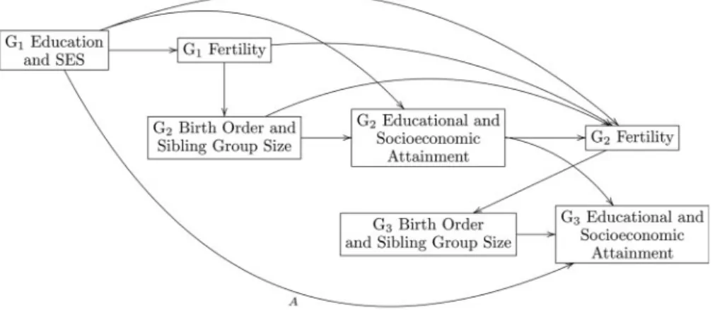 Figure 1. Theoretical illustration of the link from grandparent (G1) fertility to parental (G2) birth order and sibling group size to grandchild (G3) educational and socioeconomic attainment