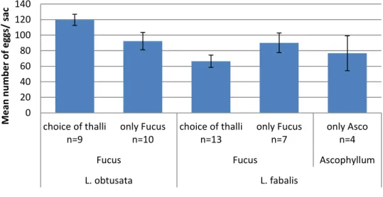 Figure 5.  Mean number of eggs per egg sac placed by L. obtusata and L. fabalis, during the 22 days the  experiment was running, with a choice between F