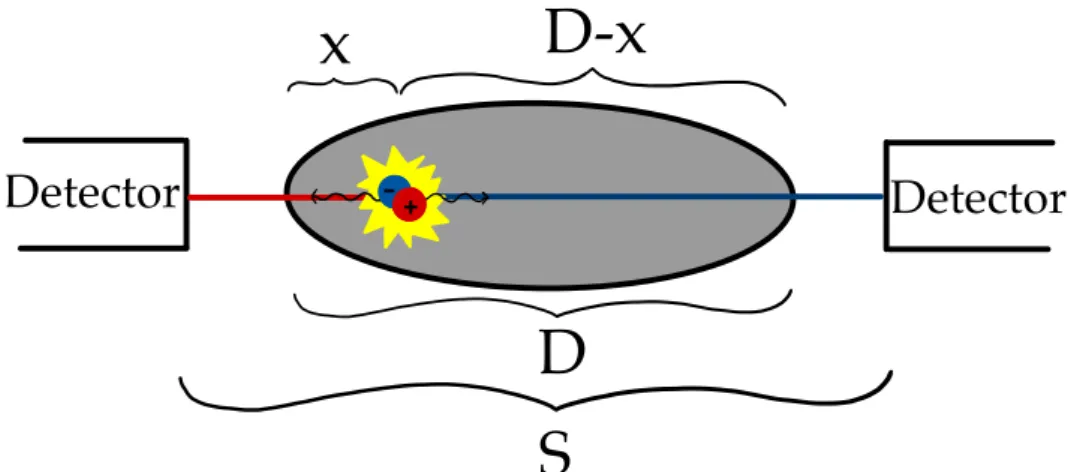 Figure 2.9: Two annihilation photons traversing a homogeneous material with attenuation = µ sur-