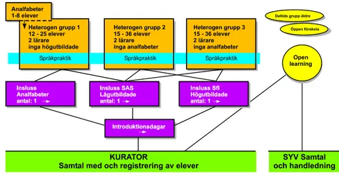 Figur 1. Organisation av undervisningen i svenska för invandrare i Västerstad. 315   