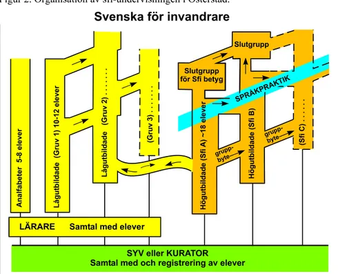 Figur 2. Organisation av sfi-undervisningen i Österstad. 319