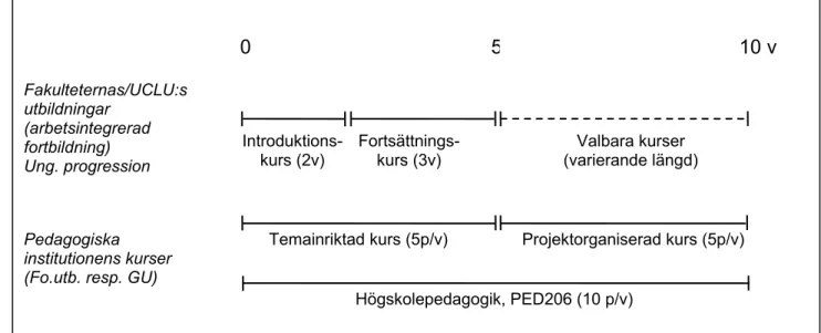 Figur 3. Den behörighetsgivande högskolepedagogiska utbildningens struktur.  