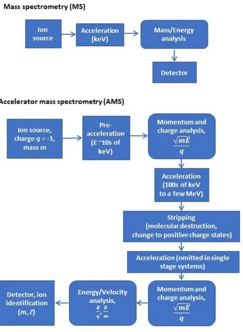 Figure 2: Comparison between mass spectrometry (MS) and accelerator mass spectrometry  (AMS)