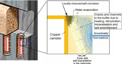 Figure 2.9. The Sauna effect in a repository with water evaporation, salt enrichment and copper 