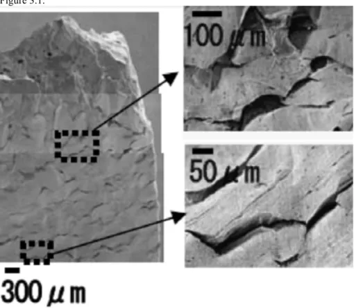 Figure  3.1.  Fractured  copper  sample  due  to  Stress  Corrosion  Cracking  (SCC)  in  0.01M 