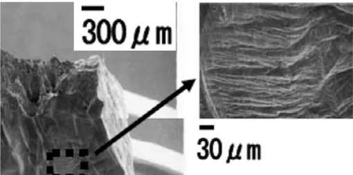 Figure 3.2. Crack-free copper surface when tested during the same conditions as in Figure 3.1 