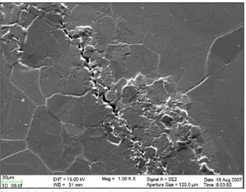 Figure 3.10. Hydrogen sickness. SEM cross-section of a FSW in copper exposed to hydrogen 