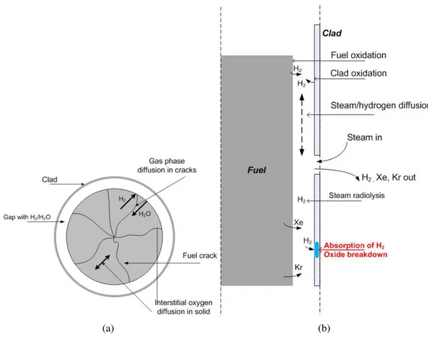 Figure 1: A schematic view of various phenomena in a failed fuel rod.