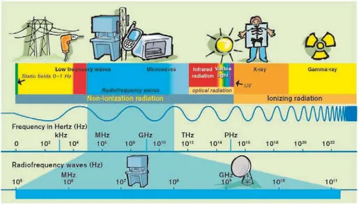 Figure 1. The electromagnetic spectrum. Illustration Gunilla Guldbrand