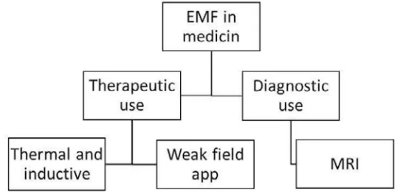 Figure 2. Division of electromagnetic field within the healthcare system.
