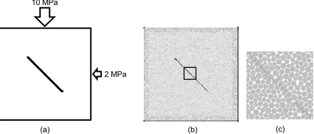 Figure 1. (a) Schematics of the verification test model containing an inclined and isolated  fracture subjected to shear loading, (b) realization in PFC2D using smooth joints, and (c)  enlarged view of the box area in (b) showing a detail of the PFC partic