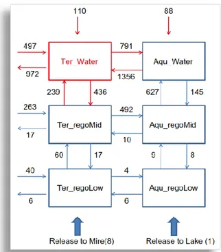 Figure 1. Advective fluxes ( F ij ) for an average lake-mire object obtained from the MIKE  SHE simulations