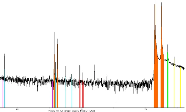 Figure 5. APT mass-to-charge-state spectra from  OFHC. There are no peaks that can be as- as-signed to P, compare with figure 4